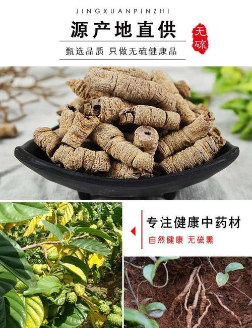 伟博 中药巴戟天德庆巴戟天盐巴戟天去心巴戟肉正宗巴戟天男性中药材