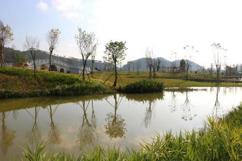 设计院服务的广西梧州苍海国家湿地公园(试点)顺利通过验收