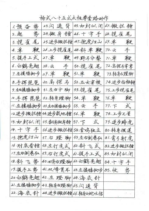 宋雨硬笔书法——八十五式太极拳谱