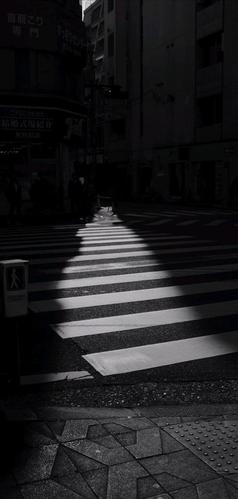 清醒的堕落最为致命