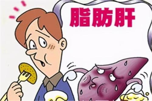 脂肪肝是怎么来的?3个方面帮你摆脱脂肪肝,还你健康身体