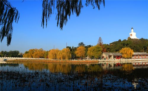 北海公园秋景.