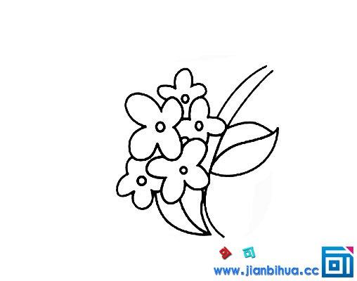 桂花简笔画儿童画