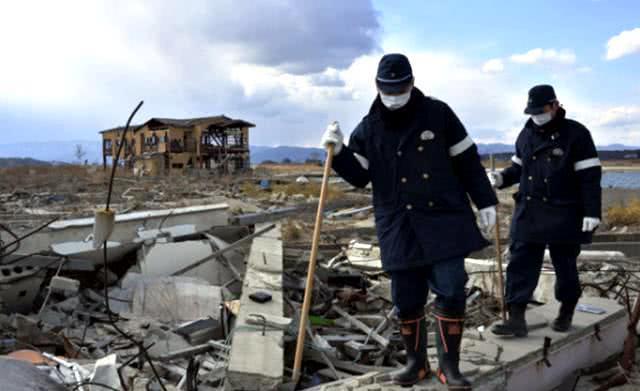 日本福岛核泄漏七年后的现状,像鬼城一样,图6的基因植物最吓人