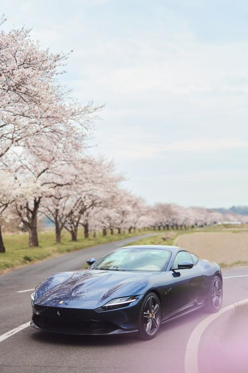 620_930 竖版 竖屏