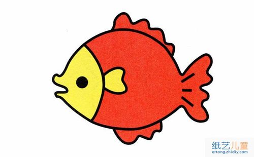 这样家里又多了一只可爱的小鱼.