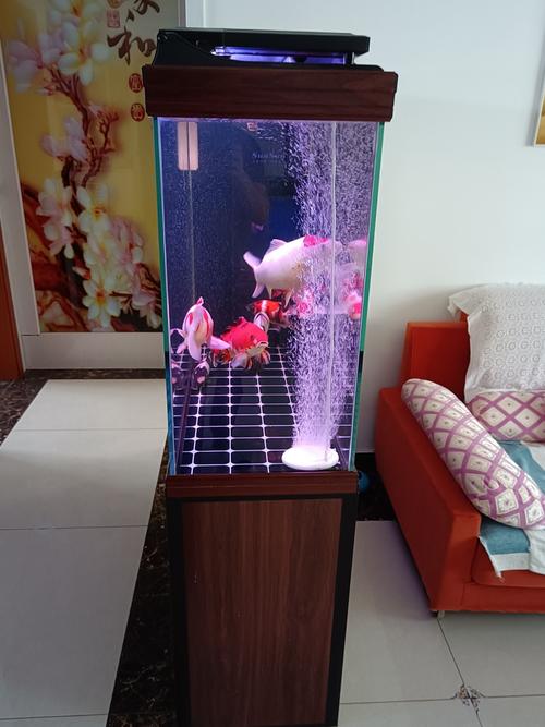 2020森森屏风款1.2米鱼缸,使用一年原价360