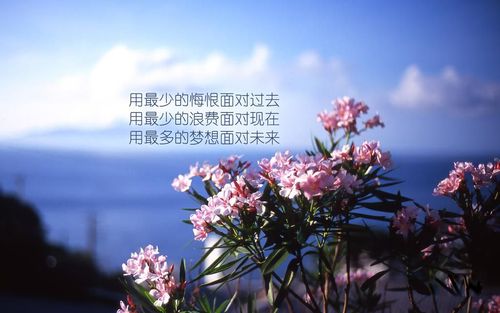 回忆往事