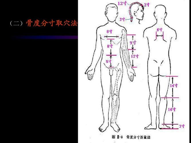 (二)骨度分寸取穴法