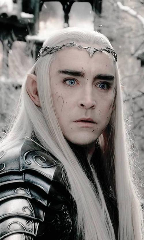 瑟兰迪尔 thranduil 精灵王