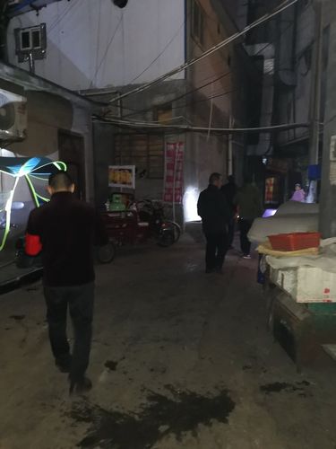 两委会干部樊钵李保民带领综治办工作人员对吉祥村三道巷全段进行夜查