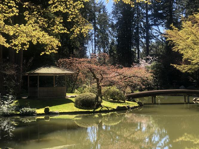 芳树无人花自落