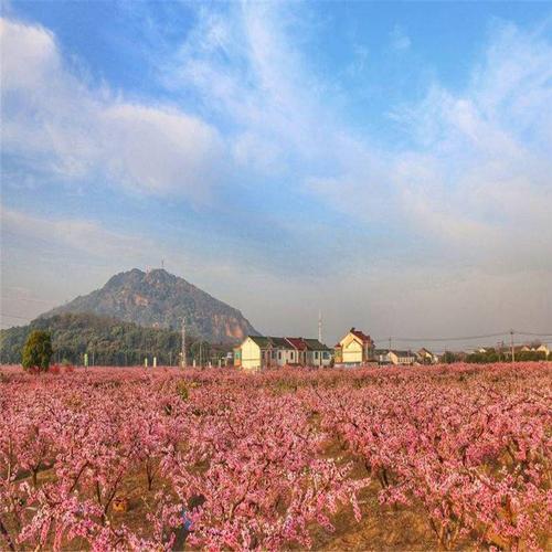 江苏无锡阳山桃花岛景观公园门票