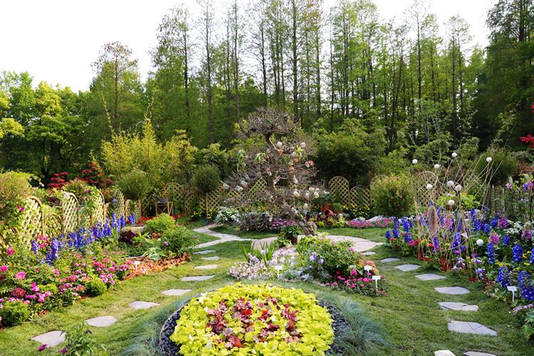 青春有你畅想无限2020上海国际花展未来园艺师展区预告