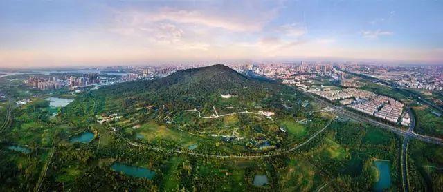 大蜀山森林公园