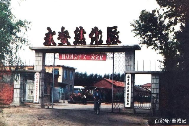 黑龙江鸡东县80年代的旧照片,属于鸡东人民的记忆