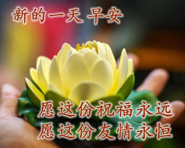 祝福好运的早安动态表情包日常早上好动态祝福图片