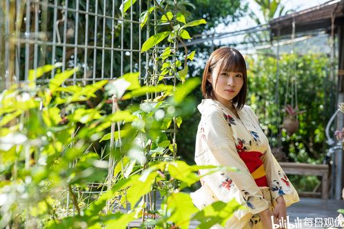 每日观优河合明日菜河合あすな蚊香一姐的有力竞争者
