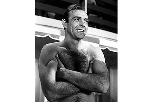sean connery,untouchable 查看源网页