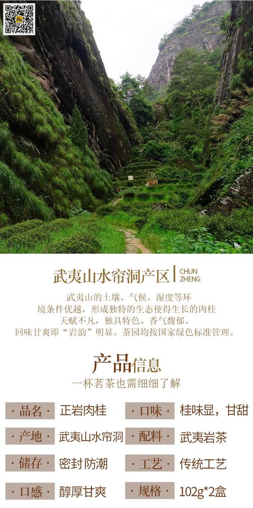 正岩肉桂岩茶:环保简装武夷水帘洞肉桂岩茶