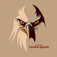 老鹰头像图片霸气 很犀牛霸气的老鹰头像_微信头像图片大全