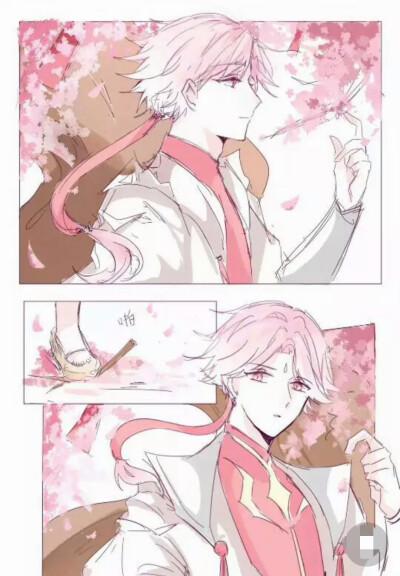 王者荣耀赵云诸葛亮大