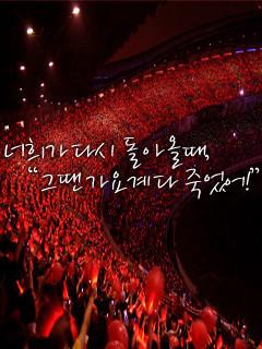 东方神起9.11应援头像是这个吗?