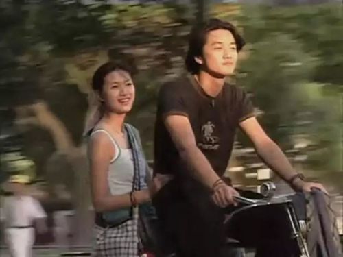 郝蕾之后是徐静蕾, 1998年,《将爱情进行到底》播出,徐静蕾成为一代