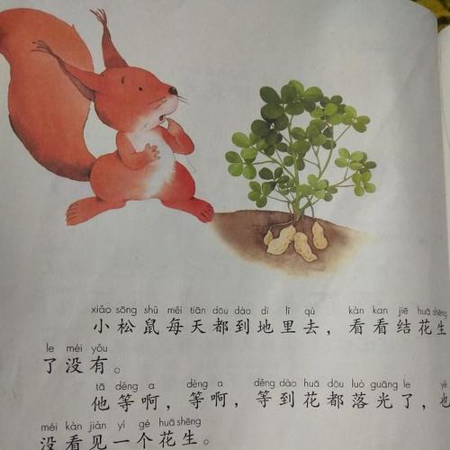 小松鼠找花生