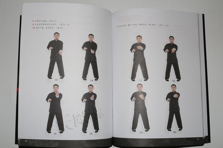 叶问咏春拳基础入门 实战技巧dvd武术拳术教学视频教程2dvd 书