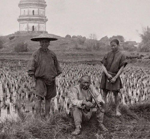 图|穷苦农民老照片