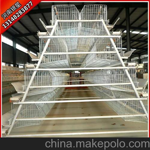 四层阶梯蛋鸡笼 河南银星自动化养鸡设备 五门双层镀锌蛋鸡笼
