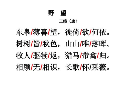 王绩《野望》课件.ppt