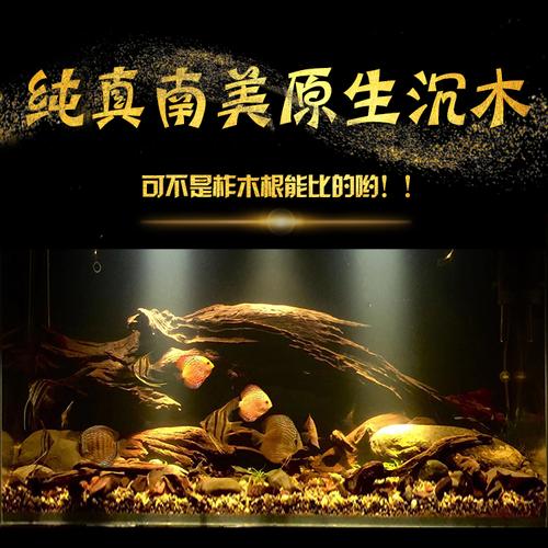 石木道直播多枝杈沉木原生南美缸埃及神仙鼠鱼虾虎缸大中小造景木