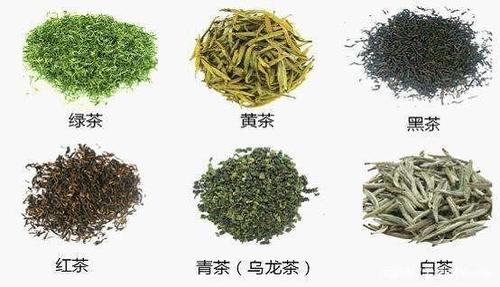 不同种类的茶叶