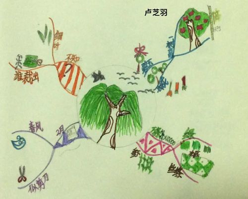 用思维导图感受古诗词的意境——《咏柳》