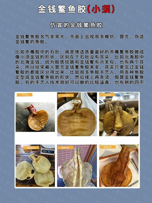 97金钱鳘鱼胶有两种,小须金钱胶和大须金钱胶,本篇为小须金钱胶
