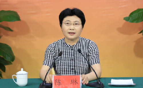 市人大常委会副主任,区委书记 陈琳 讲话