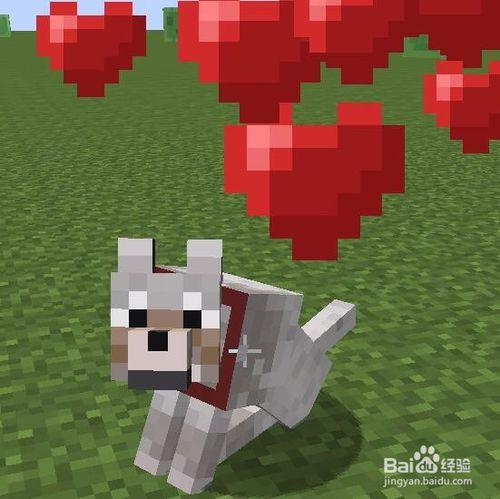 我的世界狗狗怎么繁殖