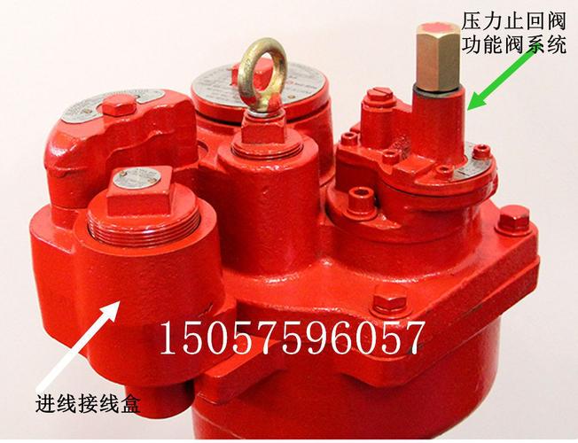 潜油泵/红夹克潜油泵/汽油潜油泵/柴油潜油泵/加油站专用潜油泵