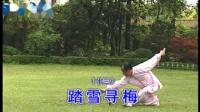13抒怀剑单剑《一剪梅》踏雪寻梅(20200618)-体育