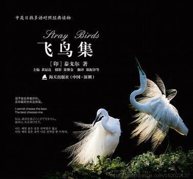 关于飞鸟集的英语手抄报 四季的英语手抄报