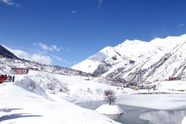 理县鹧鸪山玩雪项目有那些呢?怎么收费的呢?