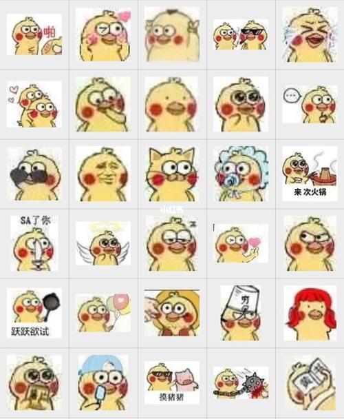 今日可爱表情分享之小鹦鹉