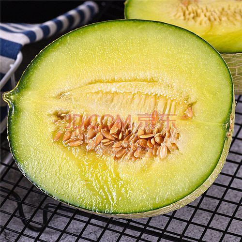 玫栀 海南玫珑瓜网纹瓜梅陇瓜日本静冈口口蜜冰淇淋激