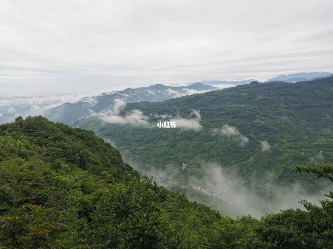 站在大邑雾山上观云海,美极了_景点_云海_出行_人文风光展示_旅行混剪