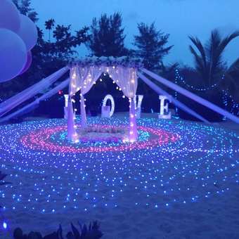 求婚场景图片大全