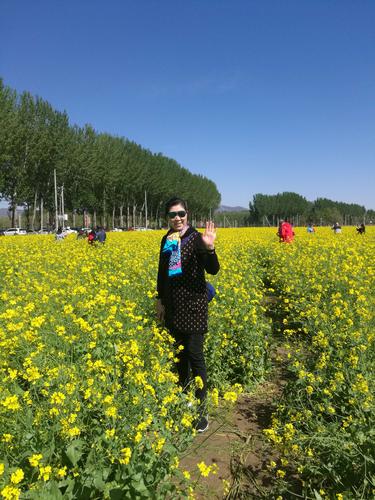 北京丰台区王佐乡怪村油菜花海和亲子动物园