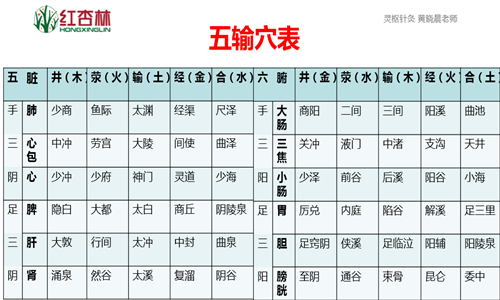 [转载]不精通五输穴,你还想成为中医大师,别做梦了!