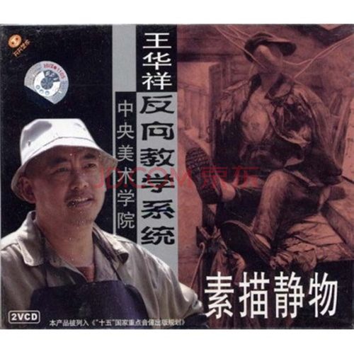 王华祥:素描静物(2vcd 图片)